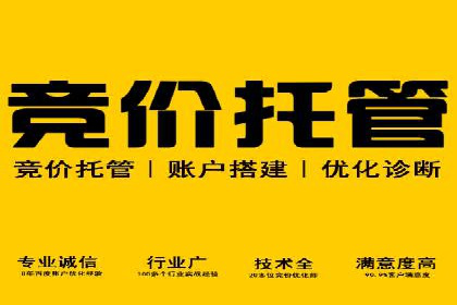 知名SEM代运营公司案例解析